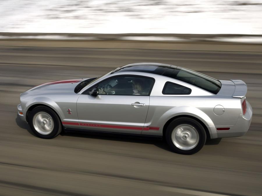  Ford Mustang Warriors in Pink 2008 года  (фото 2 из 7)